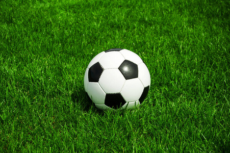 球探篮球即时比分手机版应用界面展示