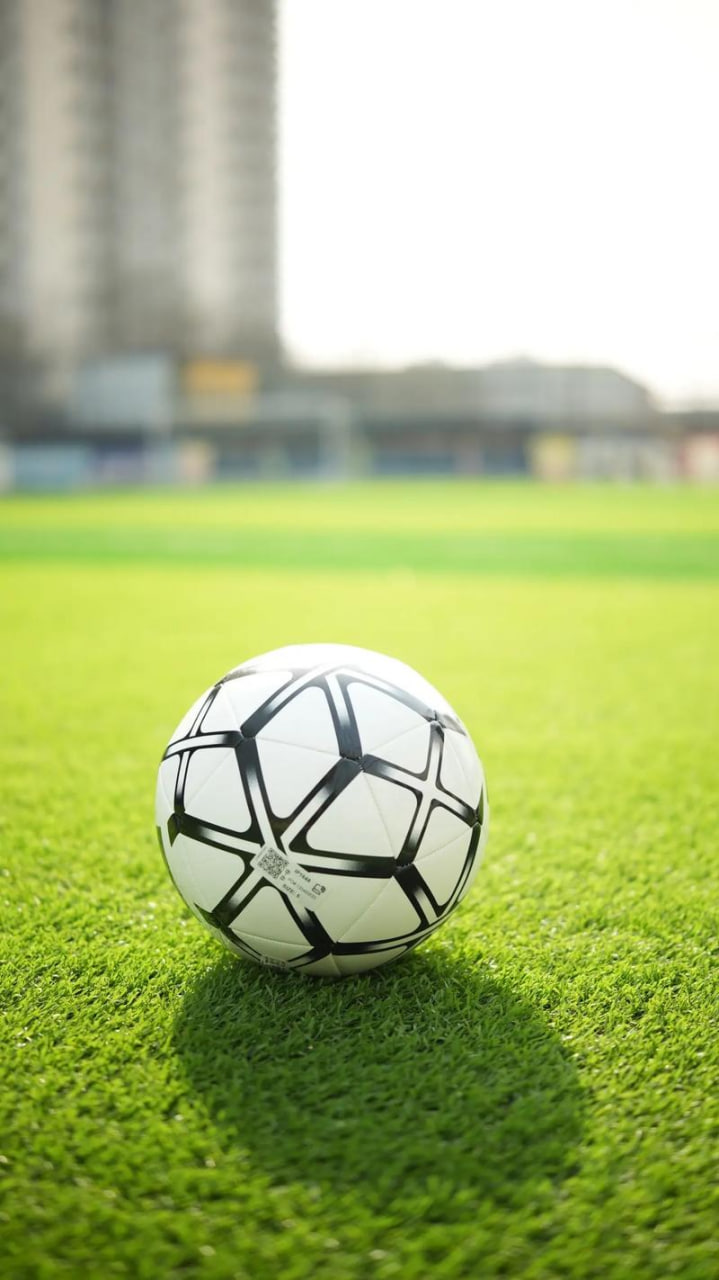 球探篮球即时比分手机版专业数据展示